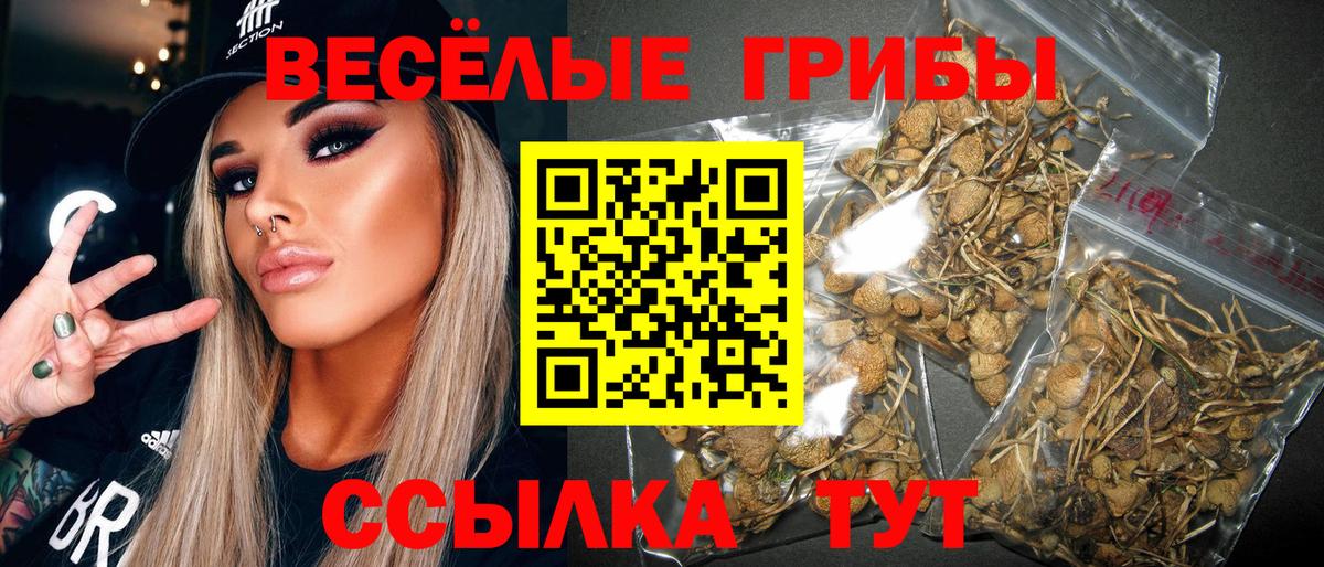 Галлюциногенные грибы мухоморы  Вход с VPN  Бор 